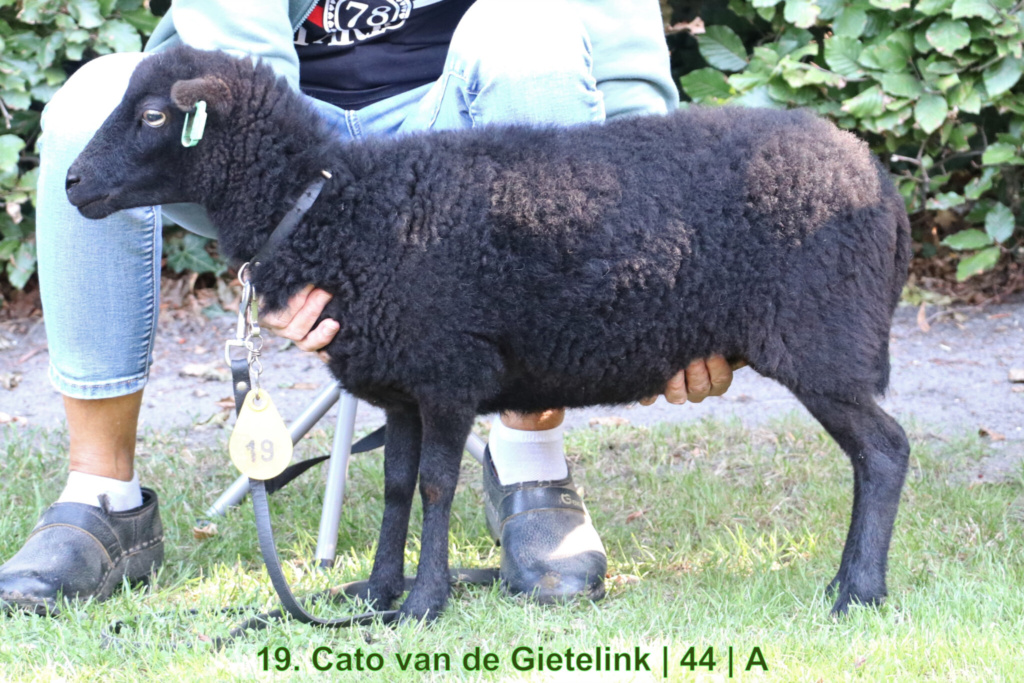 19. Cato van de Gietelink | 44 | A