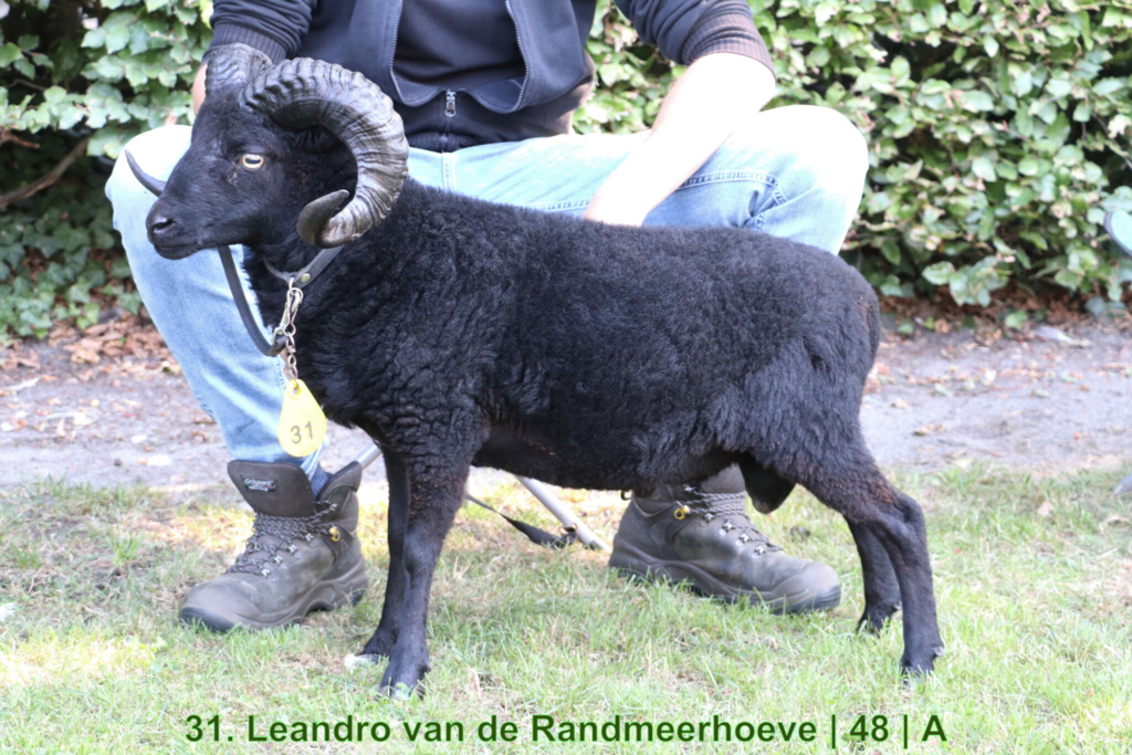 31. Leandro van de Randmeerhoeve | 48 | A