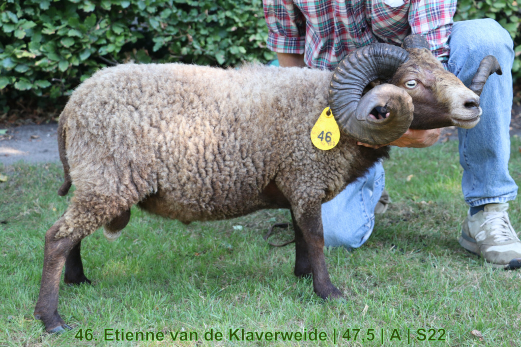 46. Etienne van de Klaverweide | 47,5 | A | S22